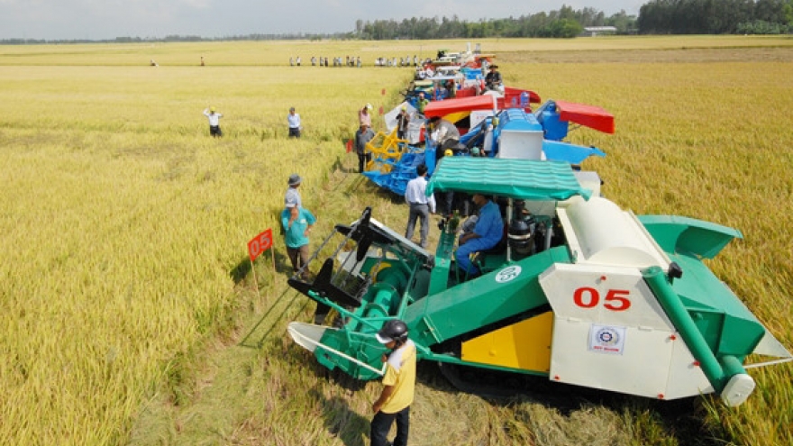 Politburo decides on Mekong Delta development orientations today